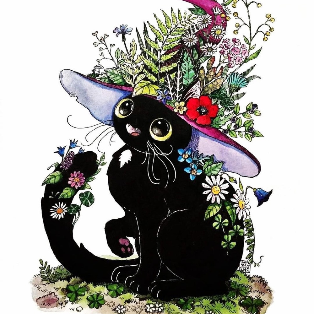 Meet your Posher, Robin